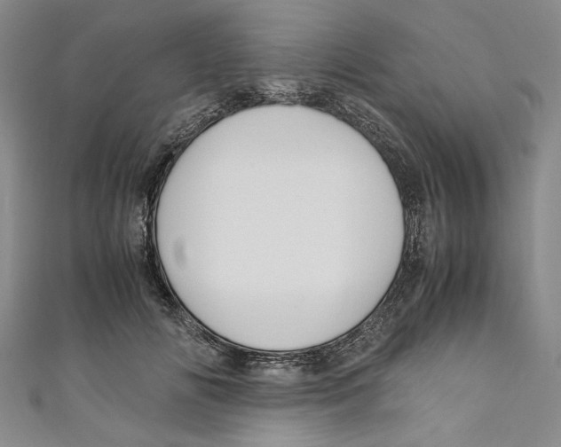 X0000110950702200907171629