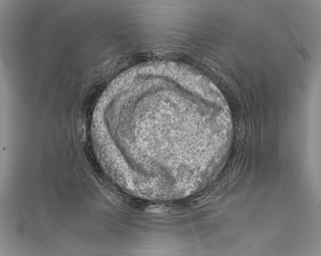 X0000110950703200907171629
