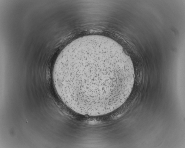 X0000110950704200907171629