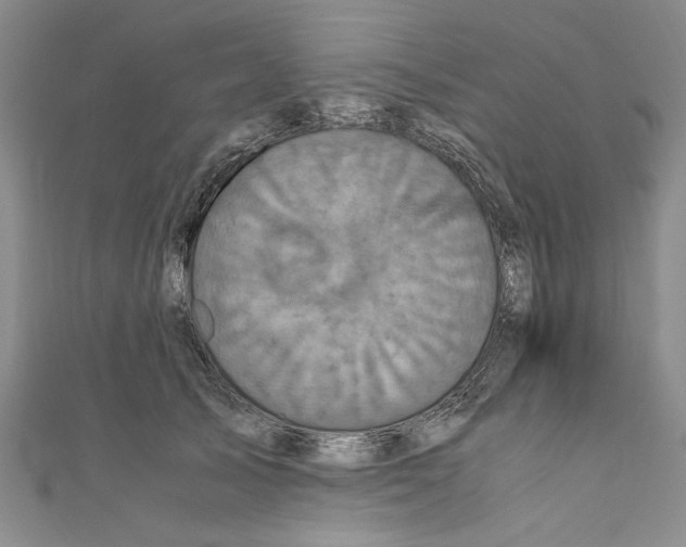 X0000110950705200907171629