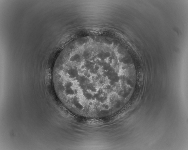 X0000110950707200907171629