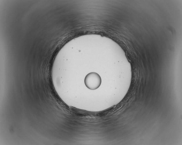 X0000110950708200907171629