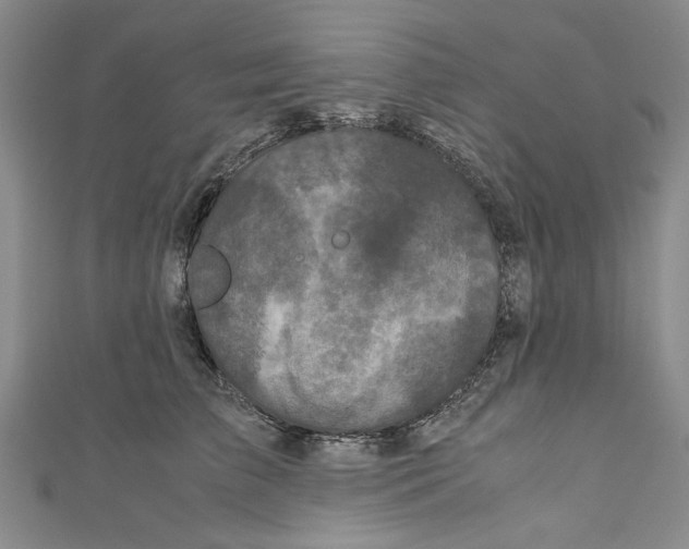 X0000110950709200907171629