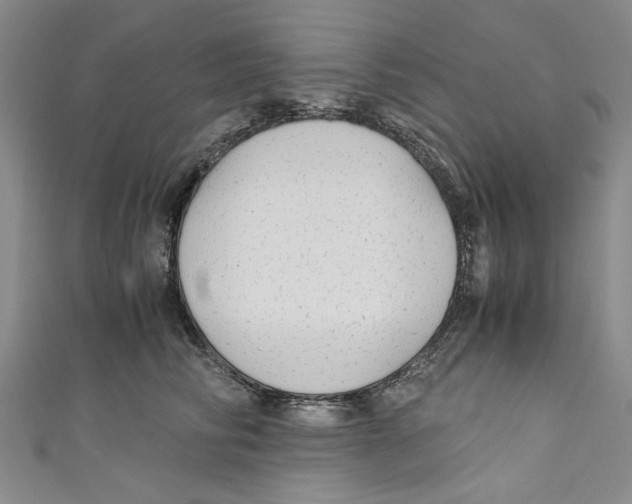 X0000110950710200907171629