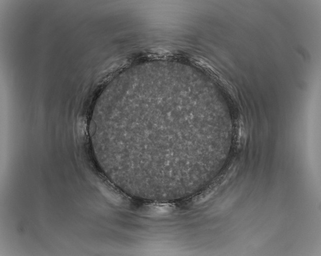 X0000110950711200907171628