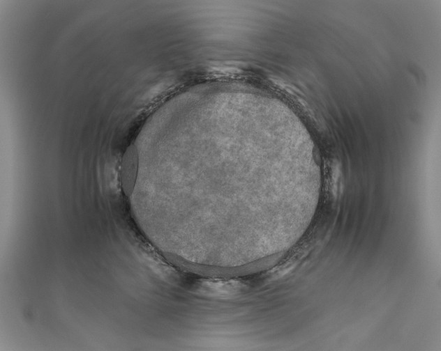 X0000110950712200907171628