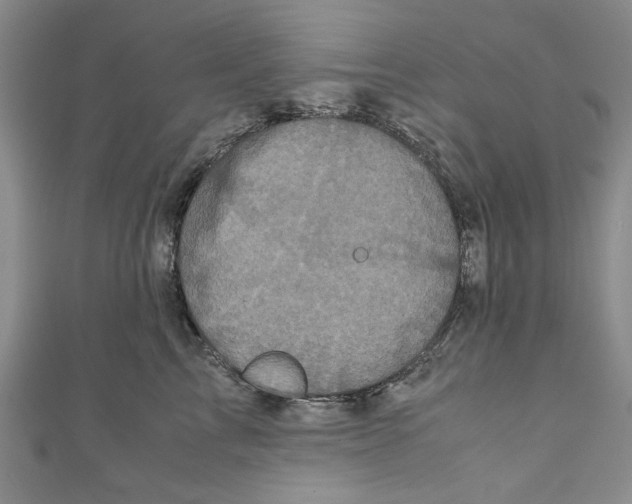 X0000110950713200907171628
