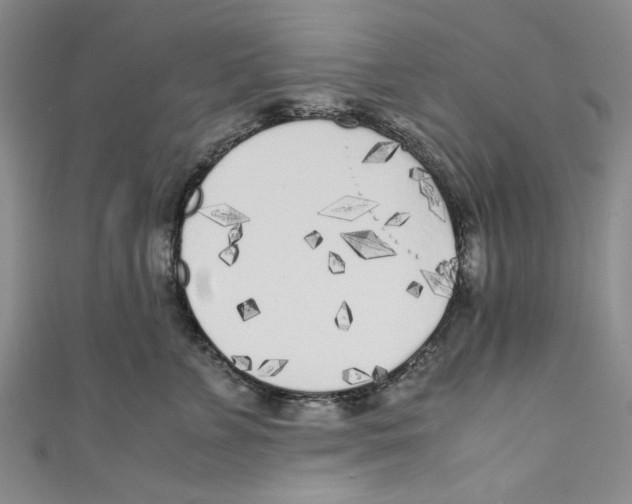 X0000110950715200907171628