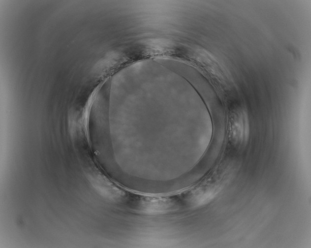 X0000110950716200907171628