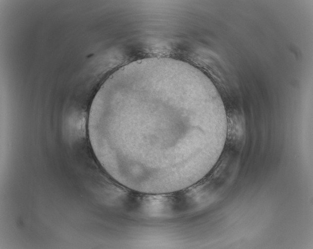 X0000110950717200907171628