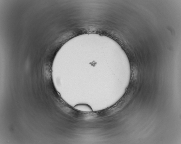 X0000110950719200907171628