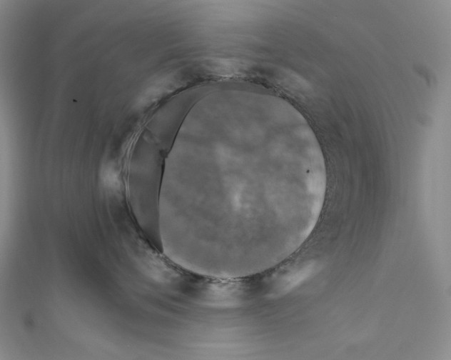 X0000110950720200907171628