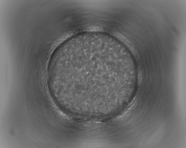 X0000110950721200907171628