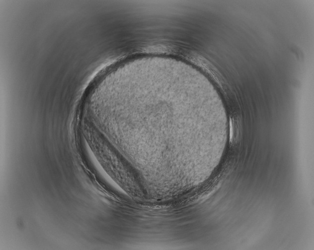 X0000110950723200907171628
