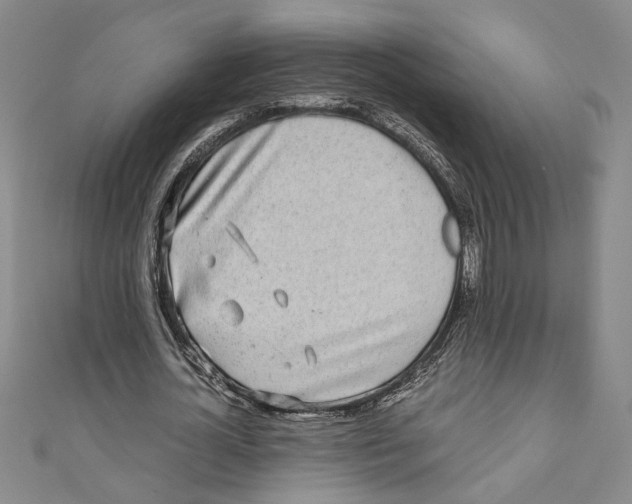 X0000110950724200907171628