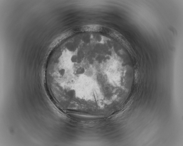 X0000110950725200907171628