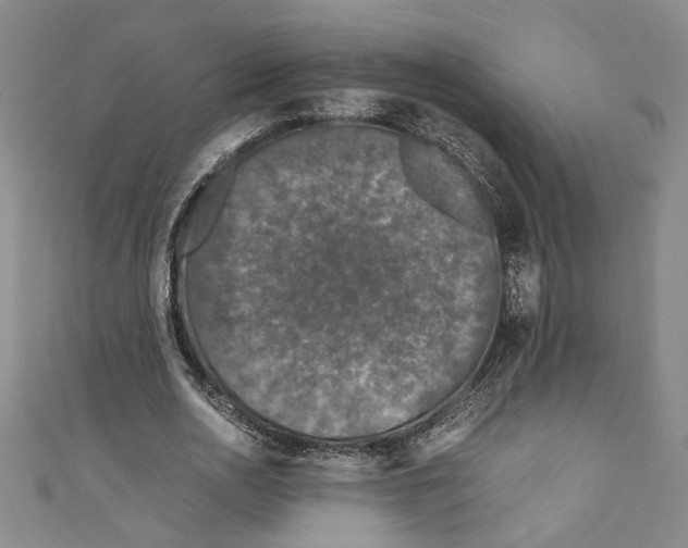 X0000110950726200907171628
