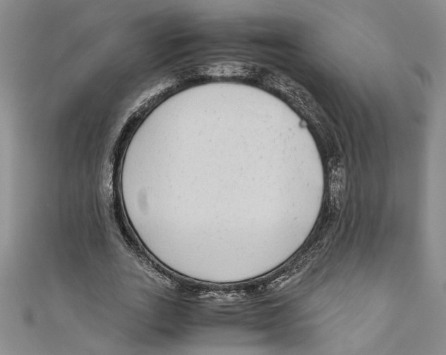 X0000110950727200907171628