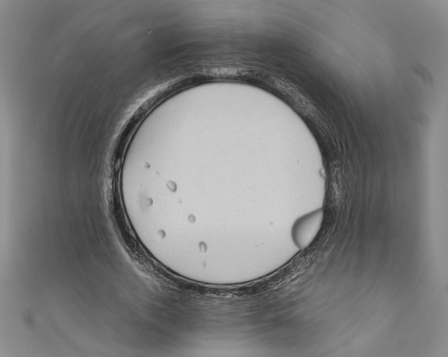 X0000110950728200907171628
