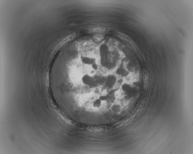 X0000110950729200907171628