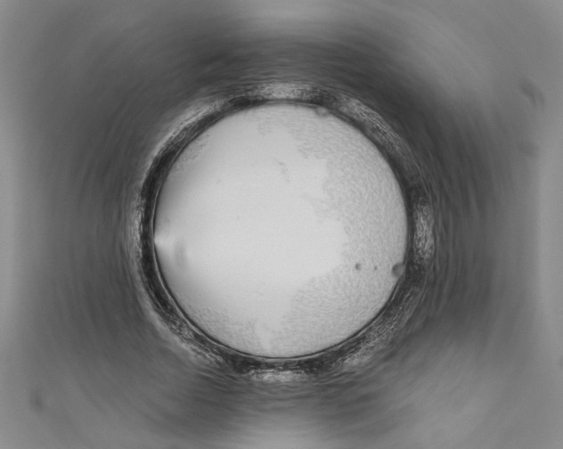 X0000110950730200907171628
