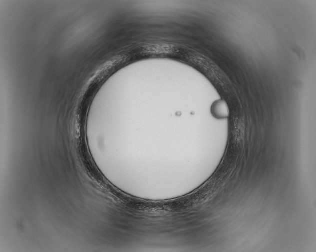 X0000110950731200907171628