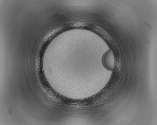 X0000110950732200907171628