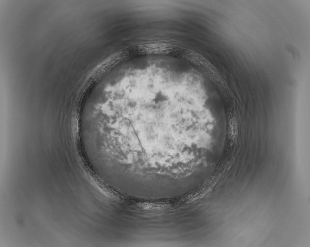 X0000110950733200907171628