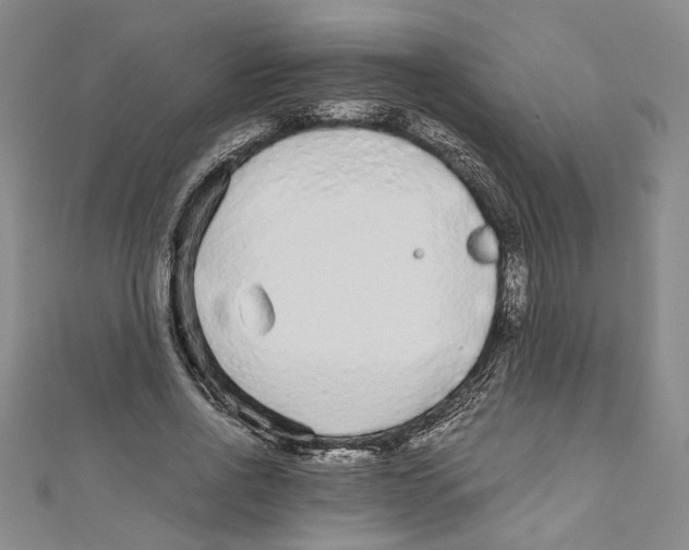 X0000110950734200907171628
