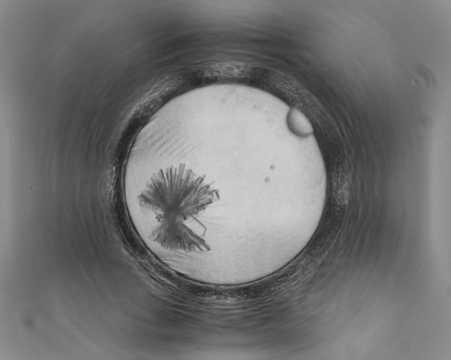 X0000110950735200907171628