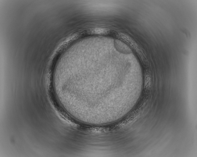 X0000110950736200907171628