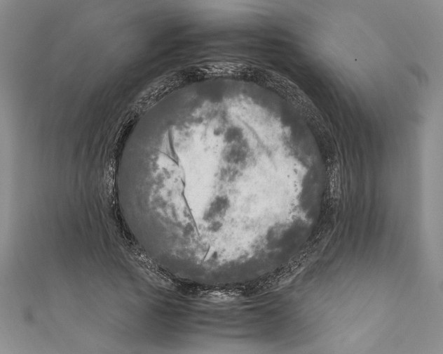 X0000110950737200907171628