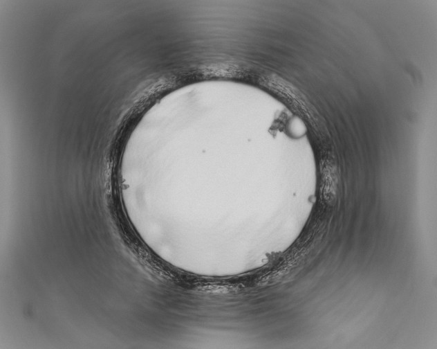 X0000110950738200907171628