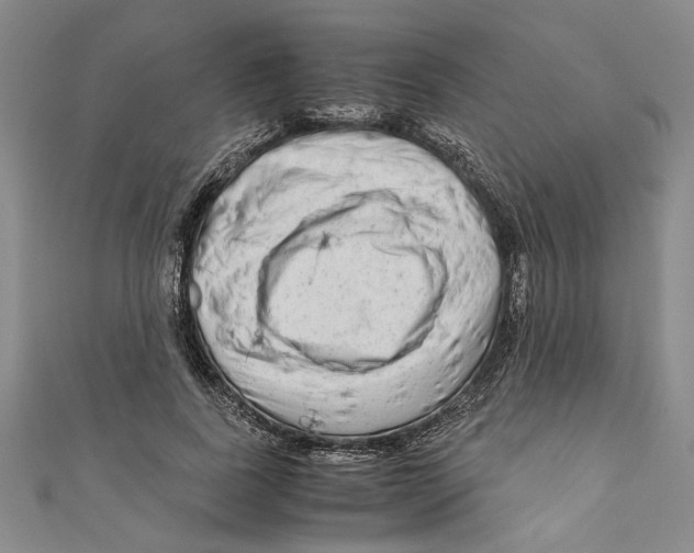 X0000110950739200907171628