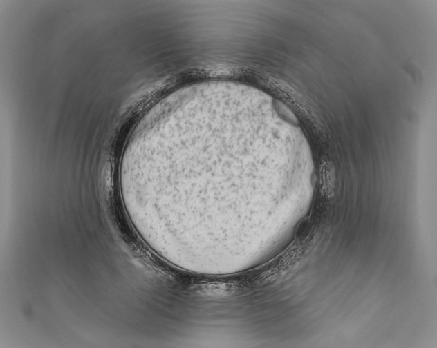 X0000110950740200907171628