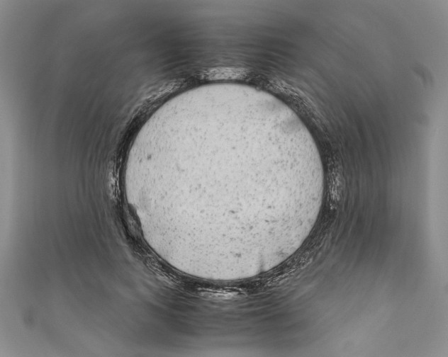 X0000110950743200907171628