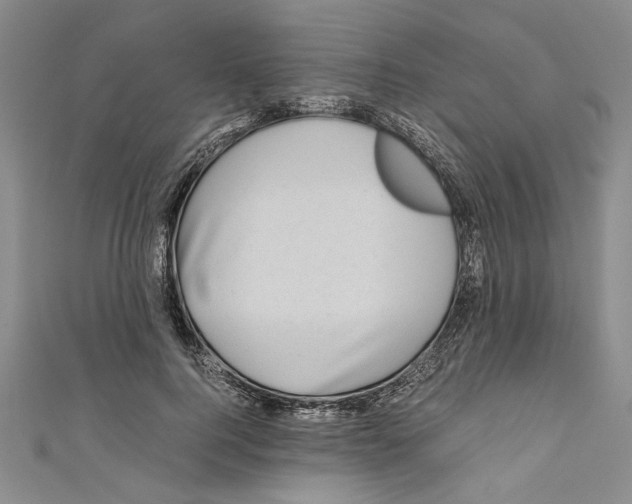 X0000110950744200907171628