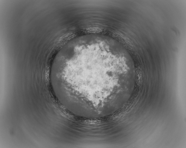 X0000110950745200907171628