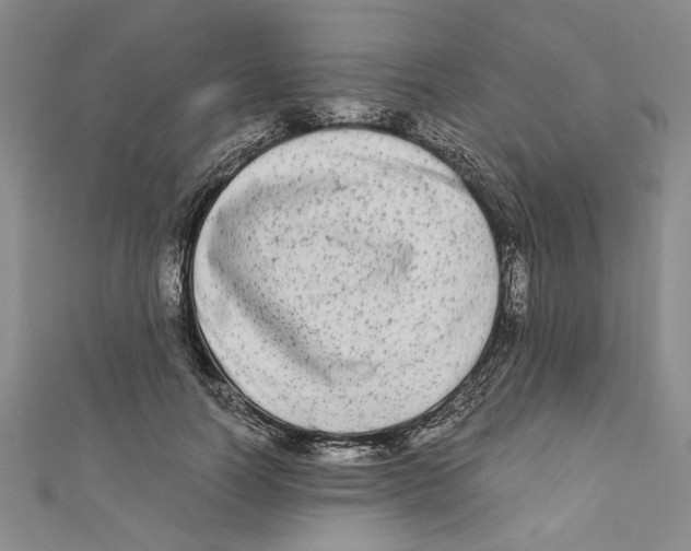 X0000110950746200907171628