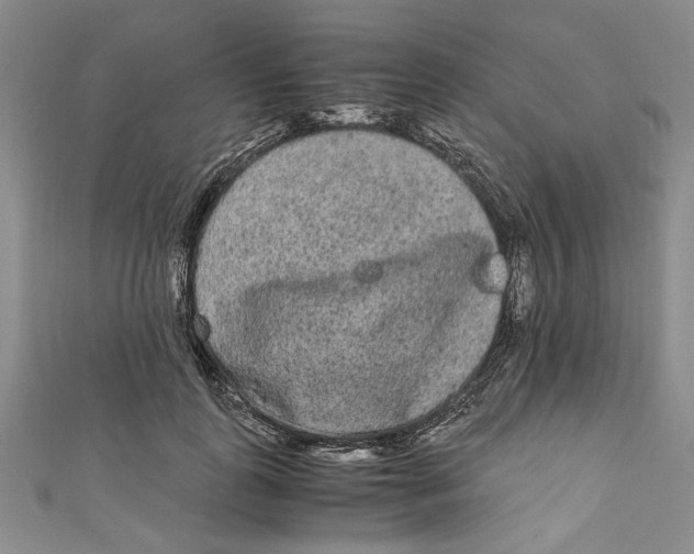 X0000110950747200907171628