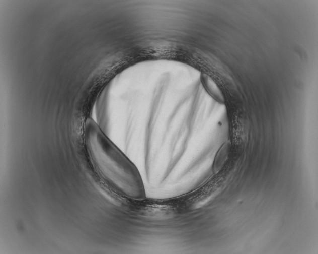 X0000110950748200907171628