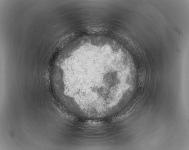 X0000110950749200907171628