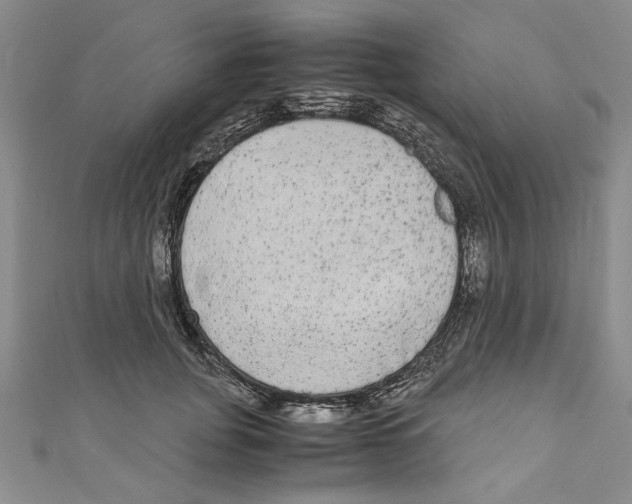 X0000110950751200907171628