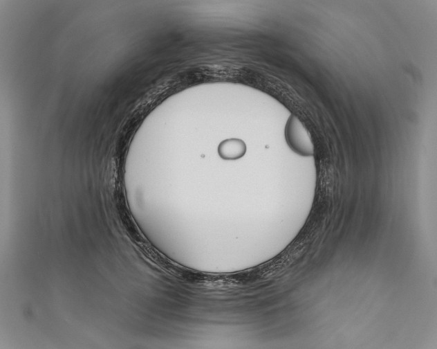 X0000110950752200907171628