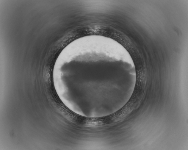 X0000110950754200907171628
