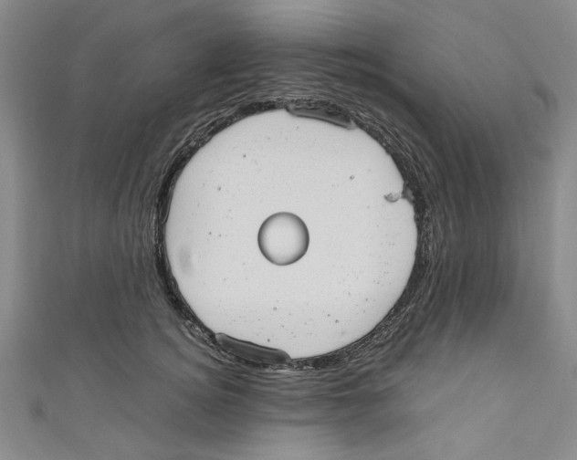 X0000110950756200907171628