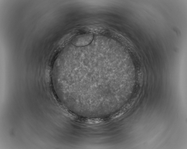 X0000110950757200907171628