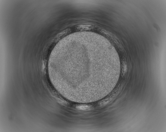X0000110950759200907171628
