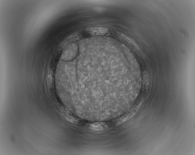 X0000110950761200907171628