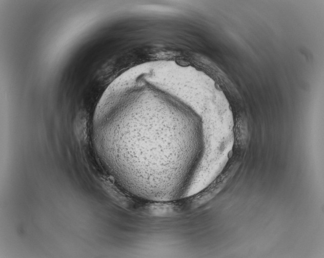 X0000110950762200907171628